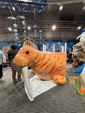 大分マリーンパレス水族館 「うみたまご」に投稿された画像（2025/12/29）