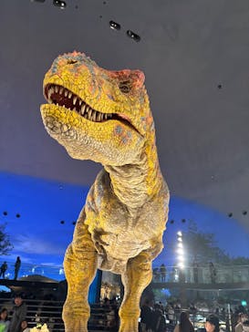 福井県立恐竜博物館に投稿された画像（2025/12/30）