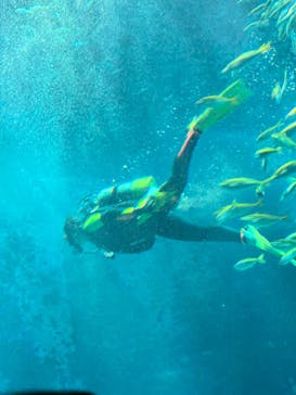 マリンワールド海の中道に投稿された画像（2025/12/30）