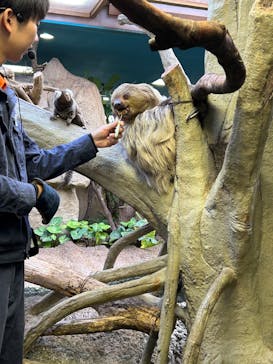 那須どうぶつ王国に投稿された画像（2025/12/30）