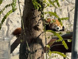 天王寺動物園に投稿された画像（2025/12/30）