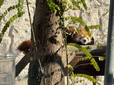 天王寺動物園に投稿された画像（2025/12/30）