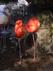 伊豆シャボテン動物公園に投稿された画像（2025/12/30）