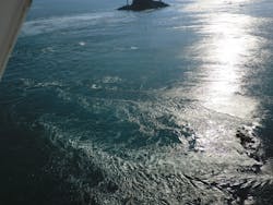 徳島県立 渦の道に投稿された画像（2025/12/30）