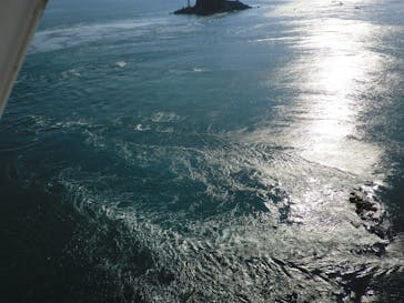 徳島県立 渦の道に投稿された画像（2025/12/30）