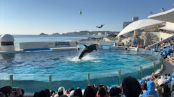 鴨川シーワールドに投稿された画像（2025/12/30）