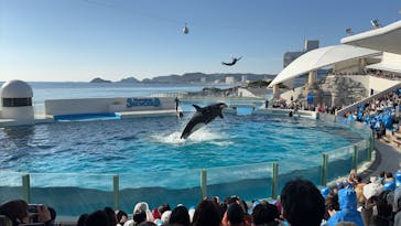 鴨川シーワールドに投稿された画像（2025/12/30）