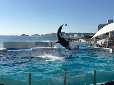 鴨川シーワールドに投稿された画像（2025/12/30）