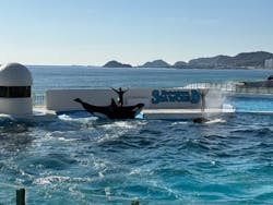 鴨川シーワールドに投稿された画像（2025/12/30）