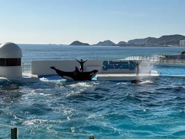 鴨川シーワールドに投稿された画像（2025/12/30）