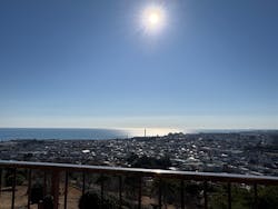 日立市かみね動物園に投稿された画像（2025/12/30）