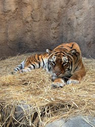 日立市かみね動物園に投稿された画像（2025/12/30）