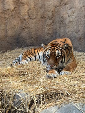 日立市かみね動物園に投稿された画像（2025/12/30）