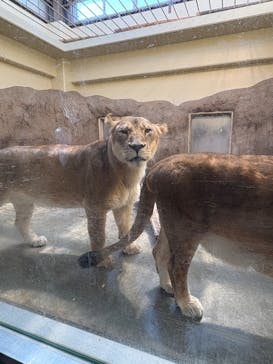 日立市かみね動物園に投稿された画像（2025/12/30）