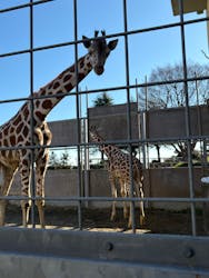 日立市かみね動物園に投稿された画像（2025/12/30）