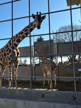 日立市かみね動物園に投稿された画像（2025/12/30）