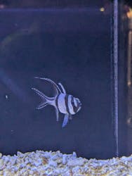 竹島水族館に投稿された画像（2025/12/30）