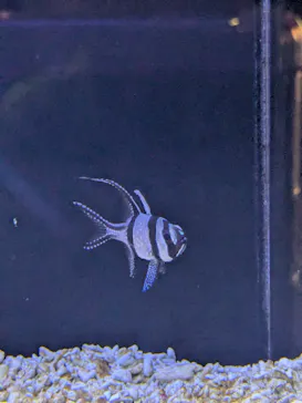 竹島水族館に投稿された画像（2025/12/30）