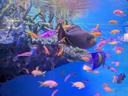 竹島水族館に投稿された画像（2025/12/30）