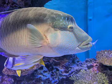 竹島水族館に投稿された画像（2025/12/30）