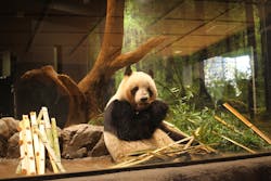 恩賜上野動物園に投稿された画像（2025/12/30）