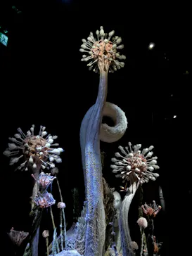 金曜ロードショーとジブリ展（静岡展）に投稿された画像（2025/12/30）