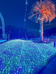 江の島シーキャンドルに投稿された画像（2025/12/30）