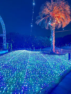 江の島シーキャンドルに投稿された画像（2025/12/30）