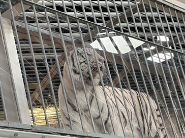 NIFREL（ニフレル）に投稿された画像（2025/12/30）