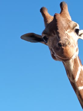宇都宮動物園に投稿された画像（2025/12/30）