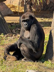 千葉市動物公園に投稿された画像（2025/12/30）