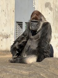 千葉市動物公園に投稿された画像（2025/12/30）