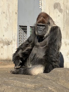 千葉市動物公園に投稿された画像（2025/12/30）