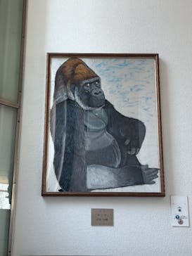 千葉市動物公園に投稿された画像（2025/12/30）