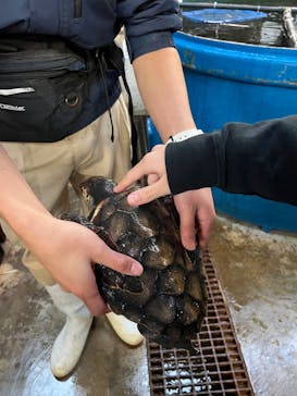 下田海中水族館に投稿された画像（2025/12/30）