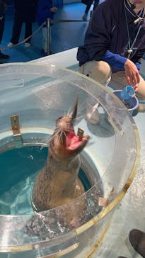 下田海中水族館に投稿された画像（2025/12/30）