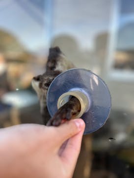 下田海中水族館に投稿された画像（2025/12/30）