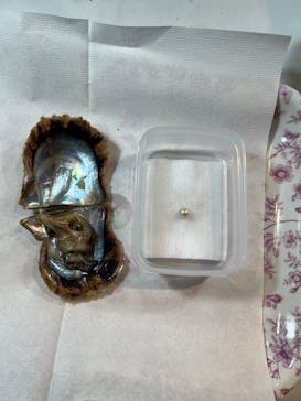 下田海中水族館に投稿された画像（2025/12/30）