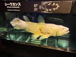 環境水族館アクアマリンふくしまに投稿された画像（2025/12/30）