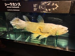 環境水族館アクアマリンふくしまに投稿された画像（2025/12/30）