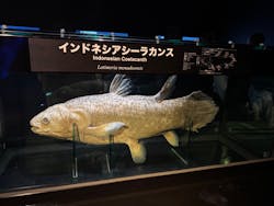 環境水族館アクアマリンふくしまに投稿された画像（2025/12/30）