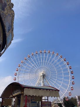 日本モンキーパークに投稿された画像（2025/12/30）