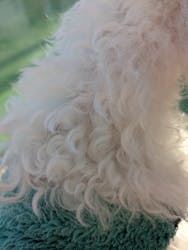 つくばわんわんランドに投稿された画像（2025/12/30）