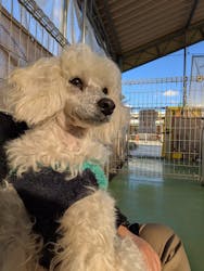 つくばわんわんランドに投稿された画像（2025/12/30）