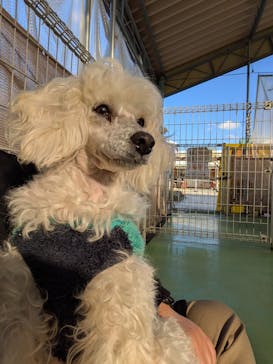 つくばわんわんランドに投稿された画像（2025/12/30）