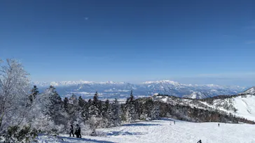 志賀高原中央エリアスキー場に投稿された画像（2025/12/30）