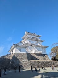 小田原城に投稿された画像（2025/12/30）