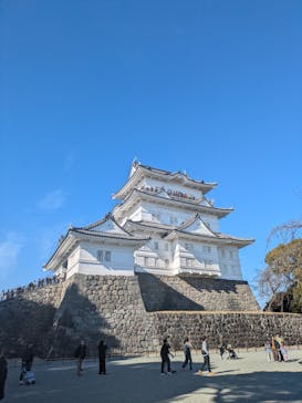 小田原城に投稿された画像（2025/12/30）