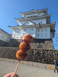 小田原城に投稿された画像（2025/12/30）