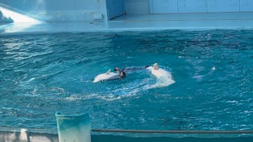 横浜・八景島シーパラダイス　プレジャーランドに投稿された画像（2025/12/30）